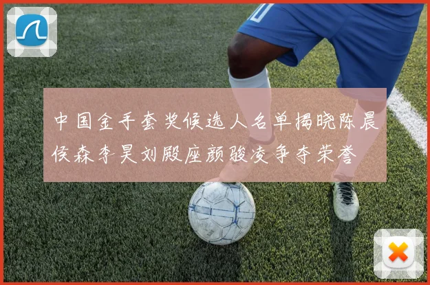 中国金手套奖候选人名单揭晓陈晨侯森李昊刘殿座颜骏凌争夺荣誉